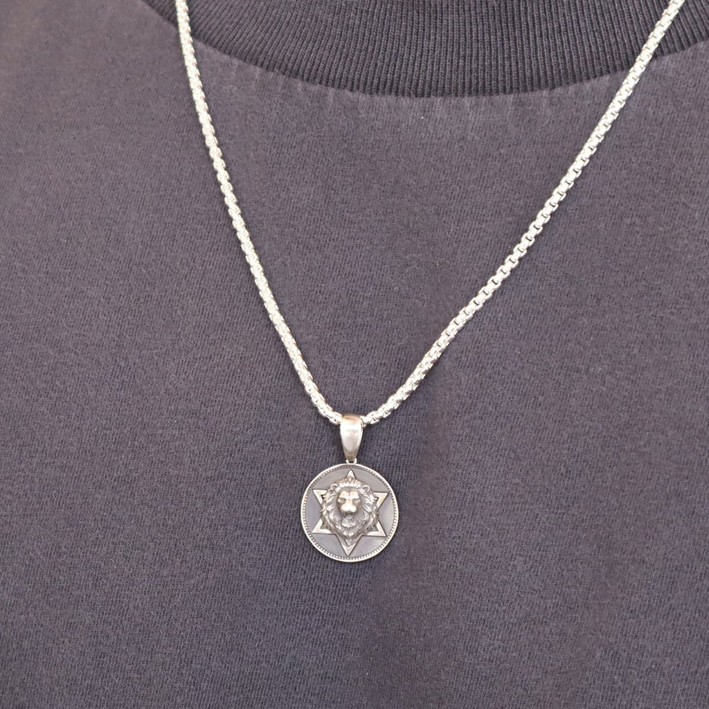 Sterling Silver Lion's Protection