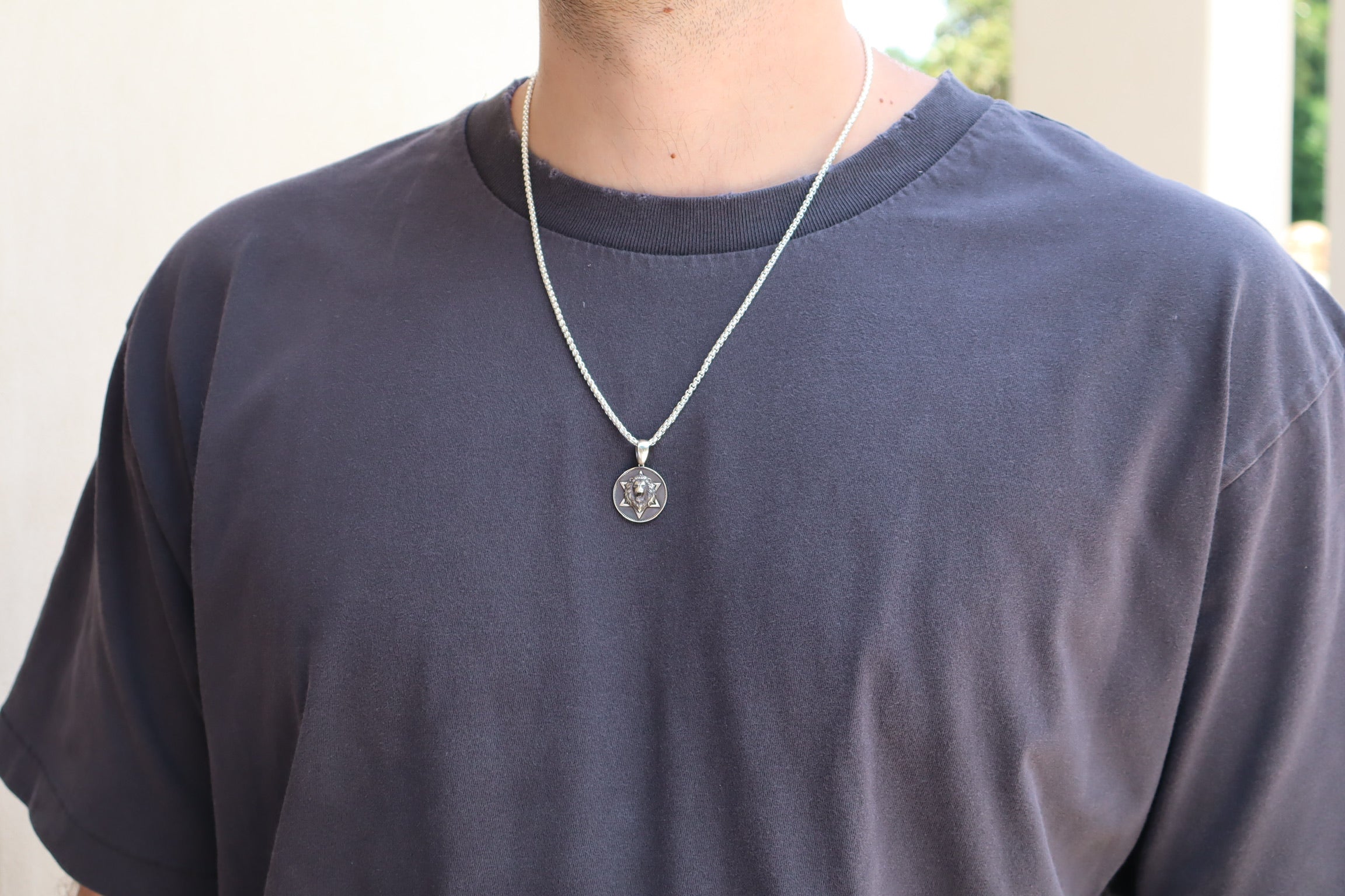 Sterling Silver Lion's Protection