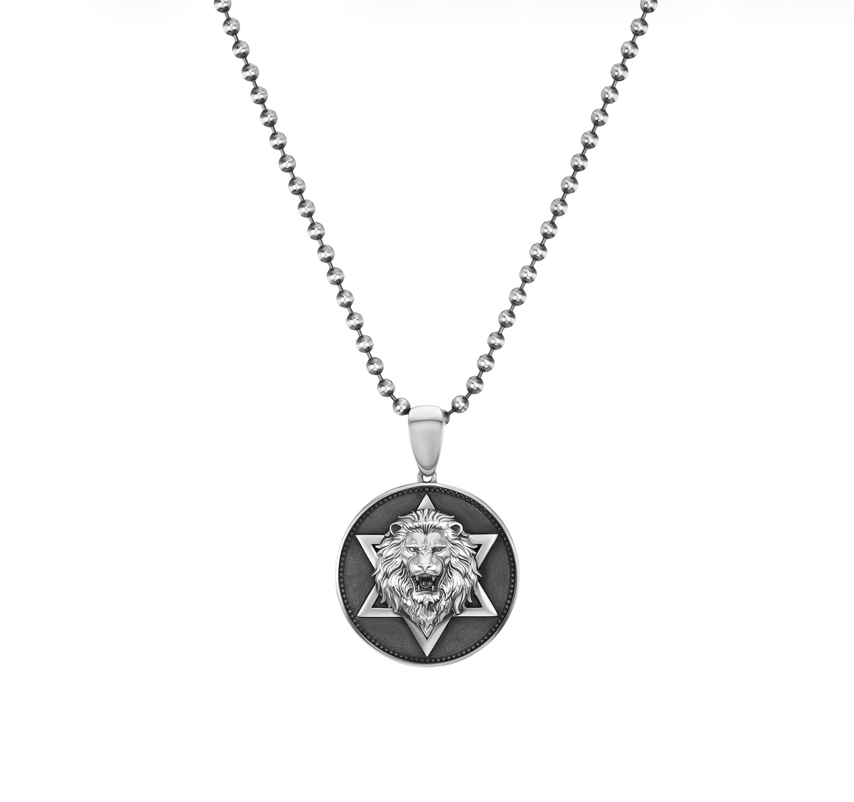 Sterling Silver Lion's Protection